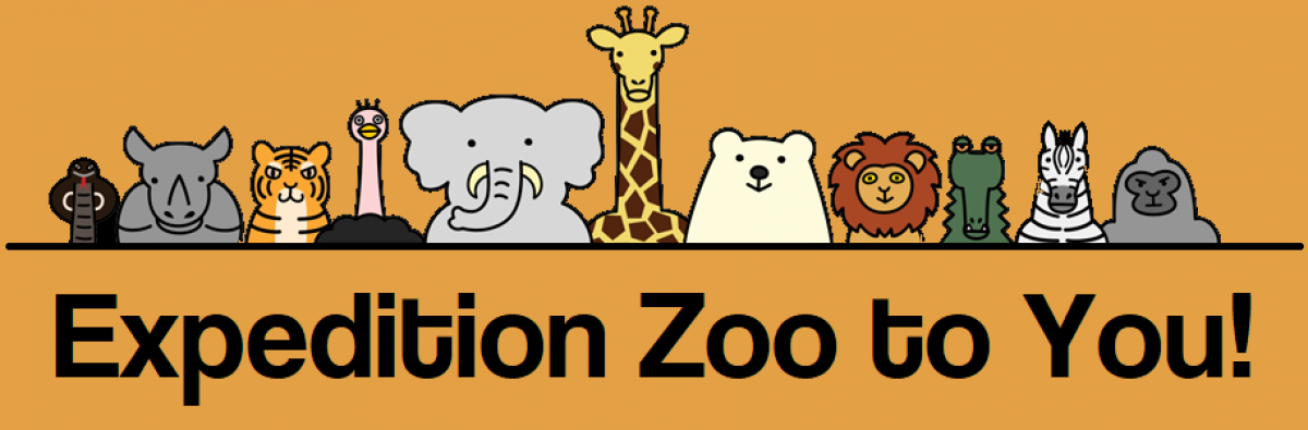 Zoo To You Zoo To You